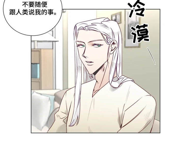 《神的祭品先生》第11章特别的存在 第4页