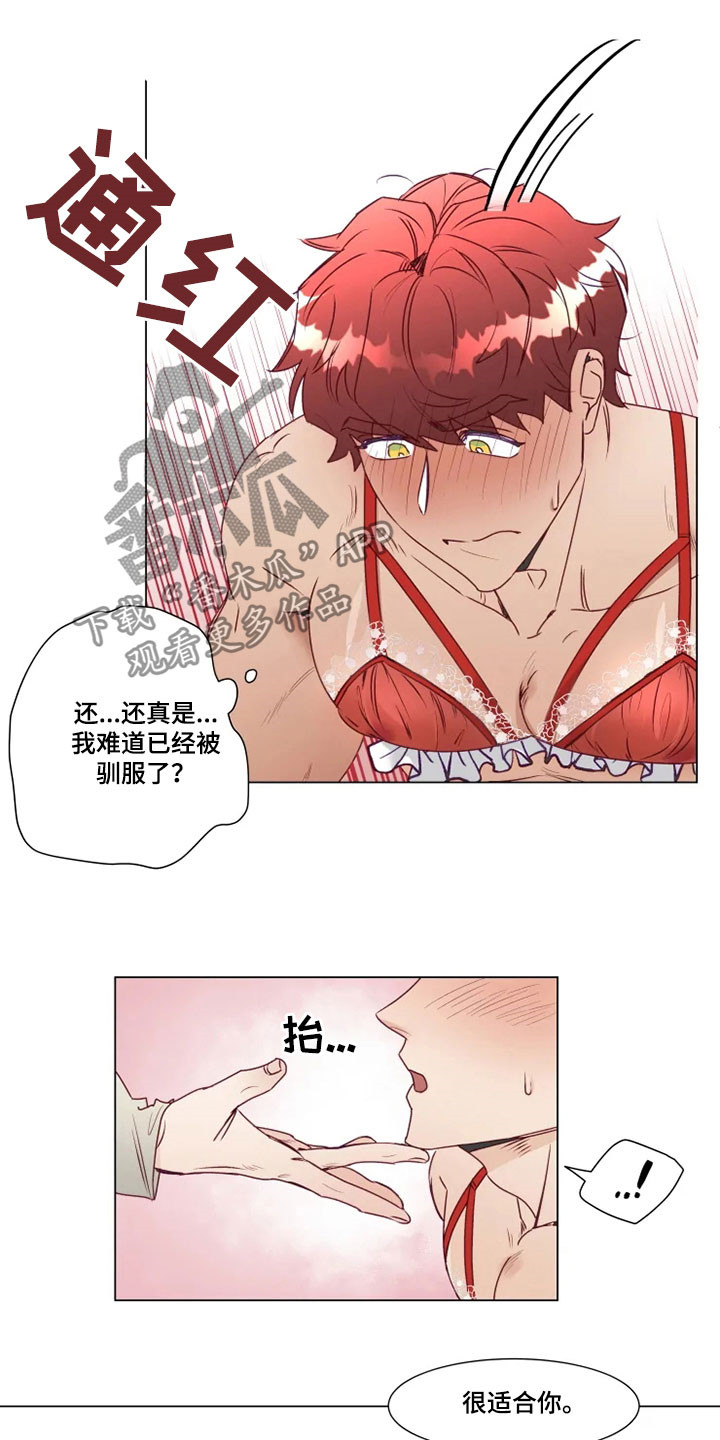 《神的祭品先生》第15章屈服 第13页