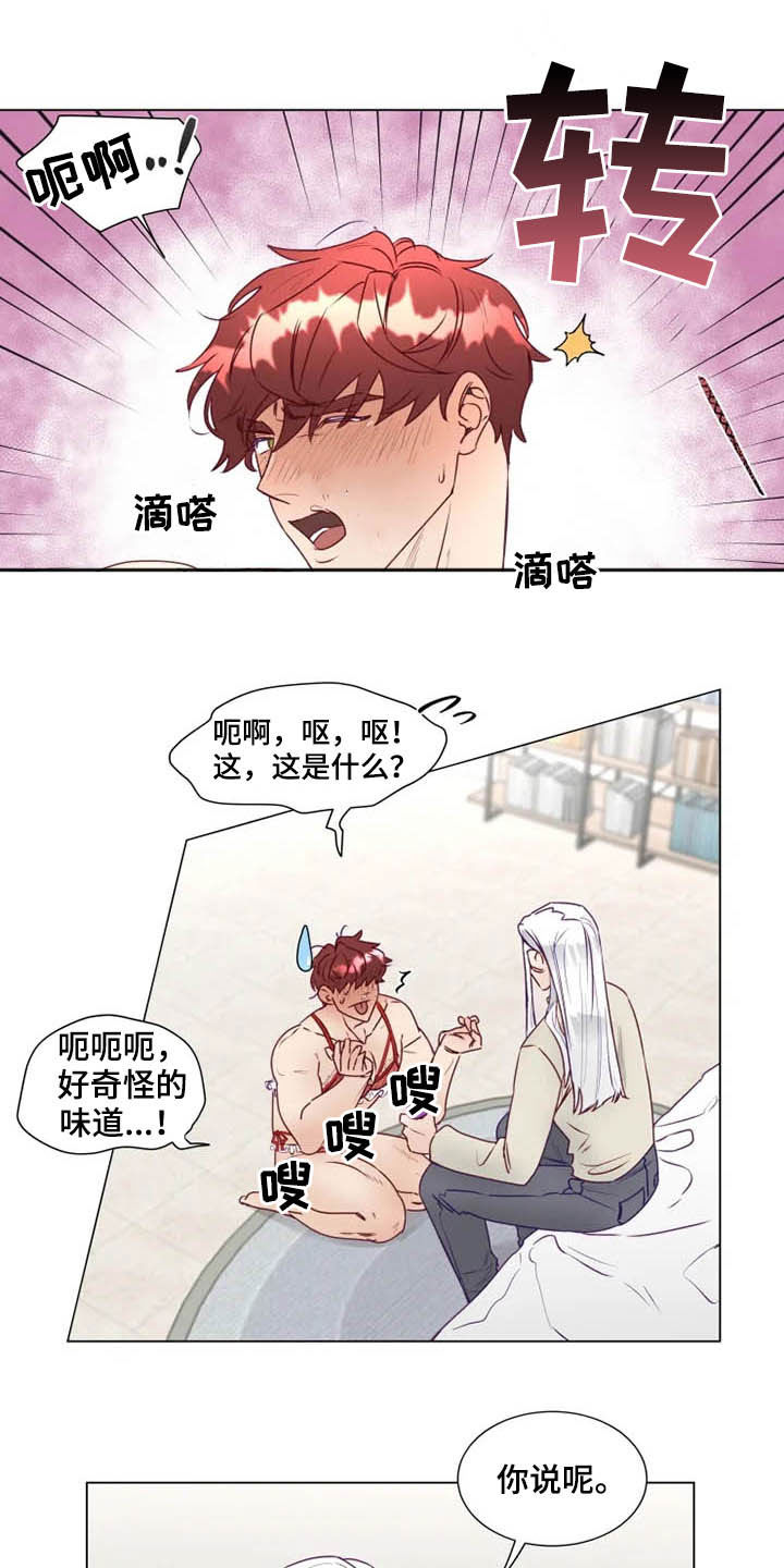 《神的祭品先生》第16章放弃抵抗 第8页