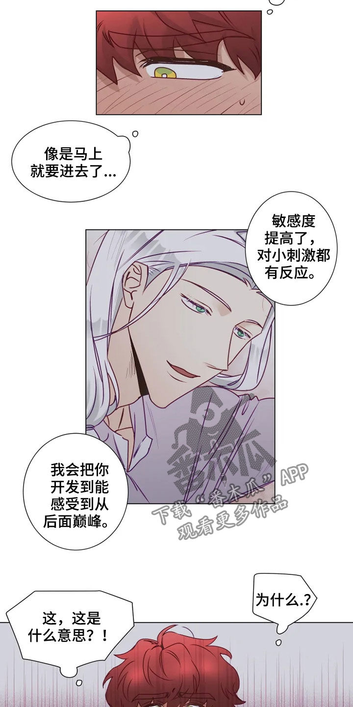 《神的祭品先生》第19章梦中惊醒 第14页