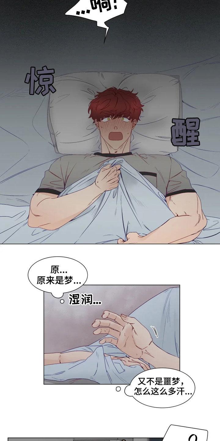 《神的祭品先生》第19章梦中惊醒 第7页