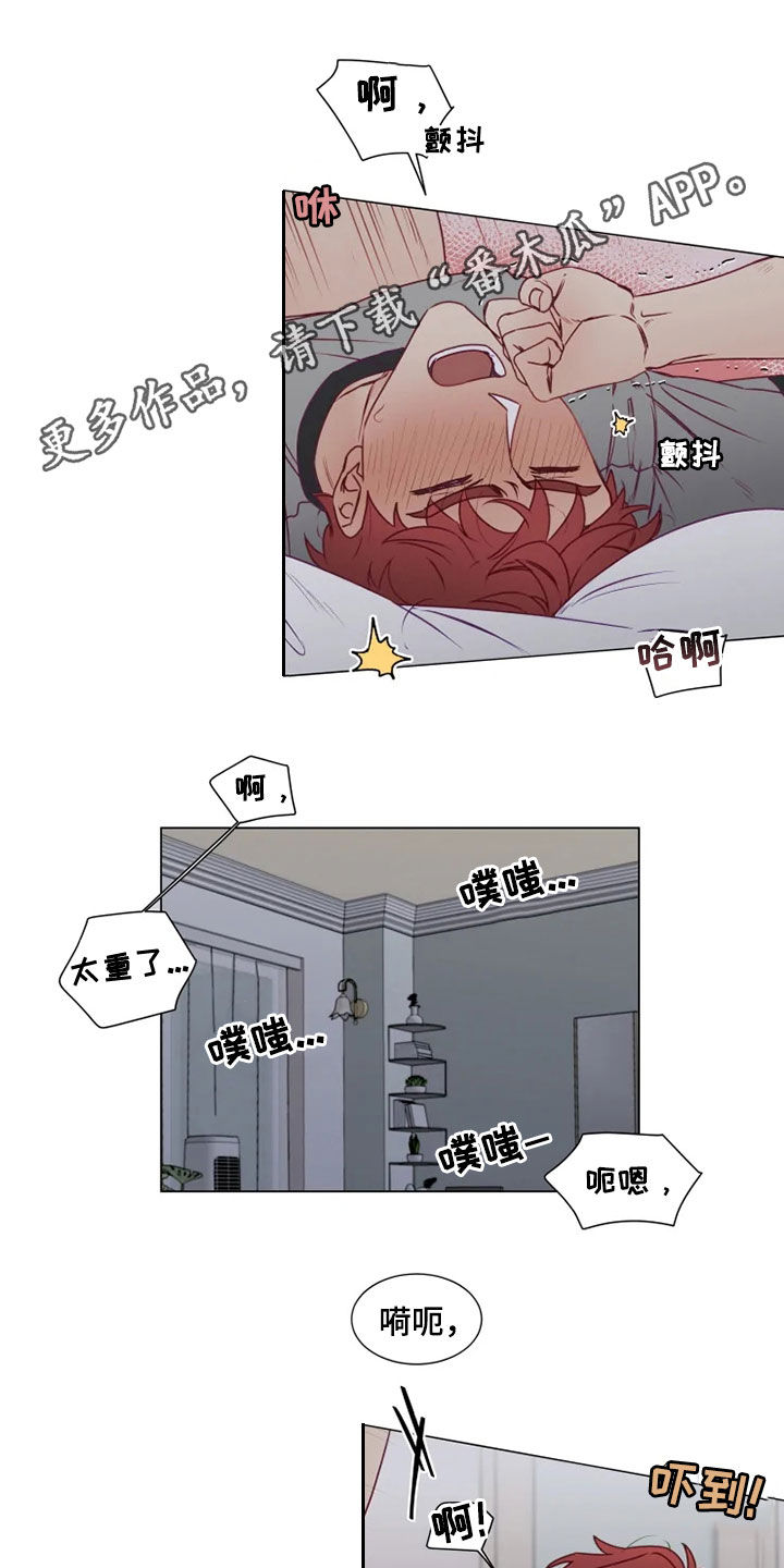 《神的祭品先生》第20章身不由己 第1页