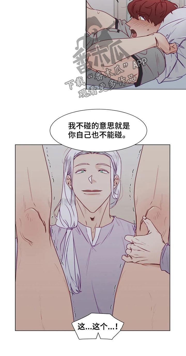 《神的祭品先生》第20章身不由己 第2页