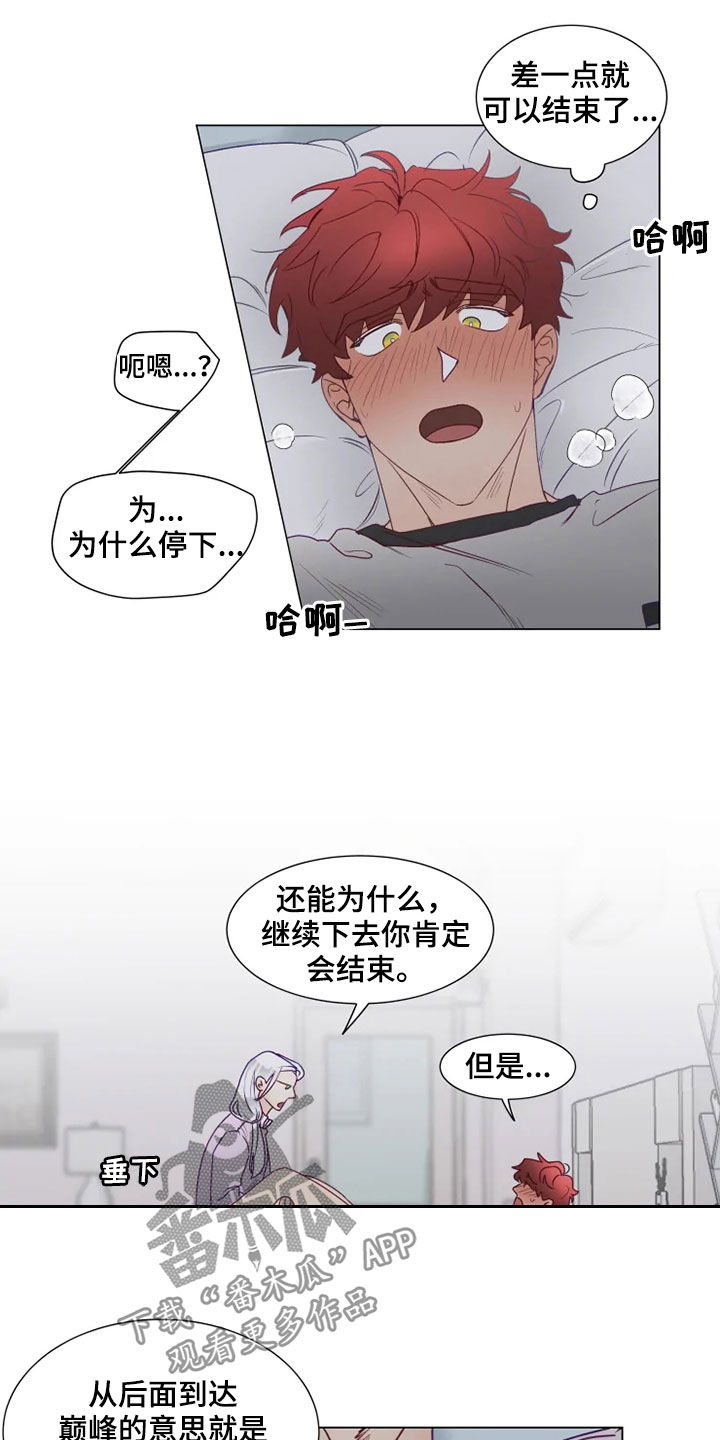 《神的祭品先生》第20章身不由己 第3页