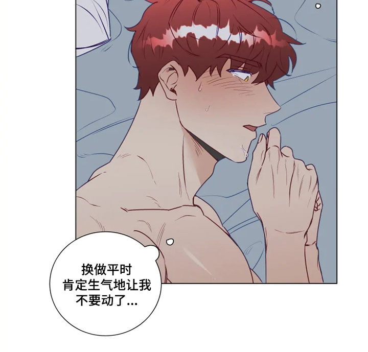 《神的祭品先生》第21章猜不透 第10页