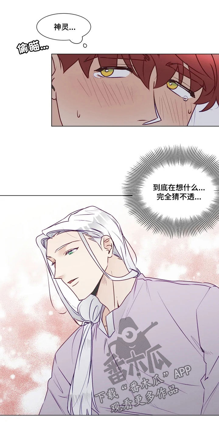 《神的祭品先生》第21章猜不透 第11页