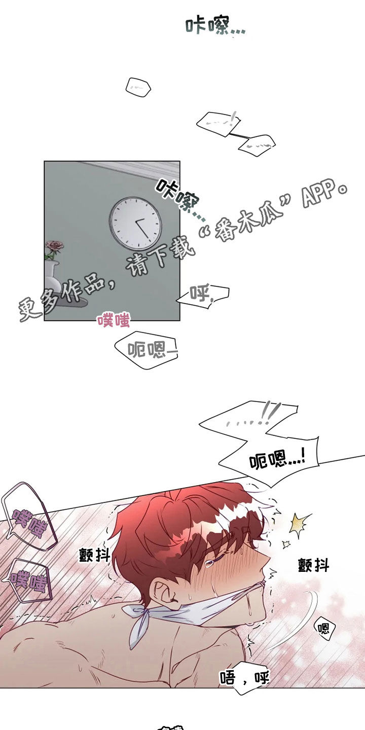 《神的祭品先生》第21章猜不透 第1页