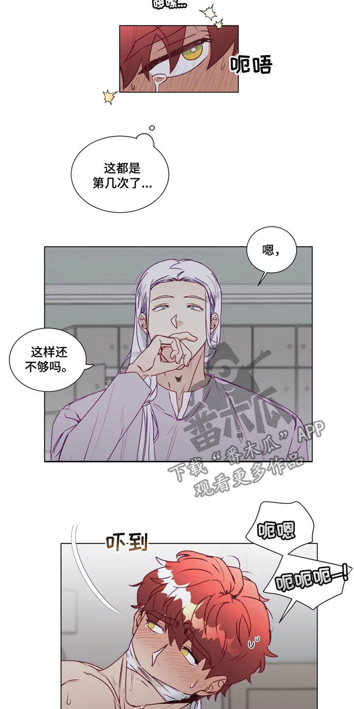 《神的祭品先生》第21章猜不透 第2页