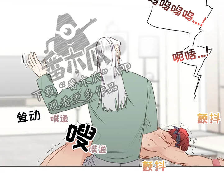 《神的祭品先生》第26章惩罚变奖励 第11页