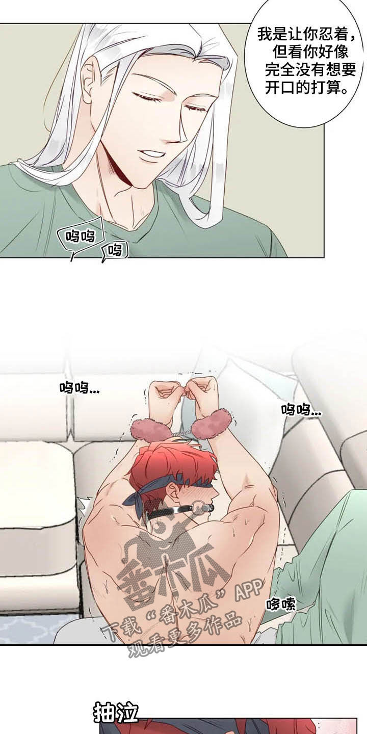 《神的祭品先生》第26章惩罚变奖励 第3页