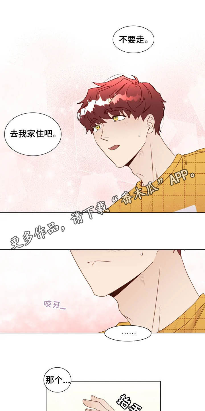 《神的祭品先生》第25章从头开始教导 第1页