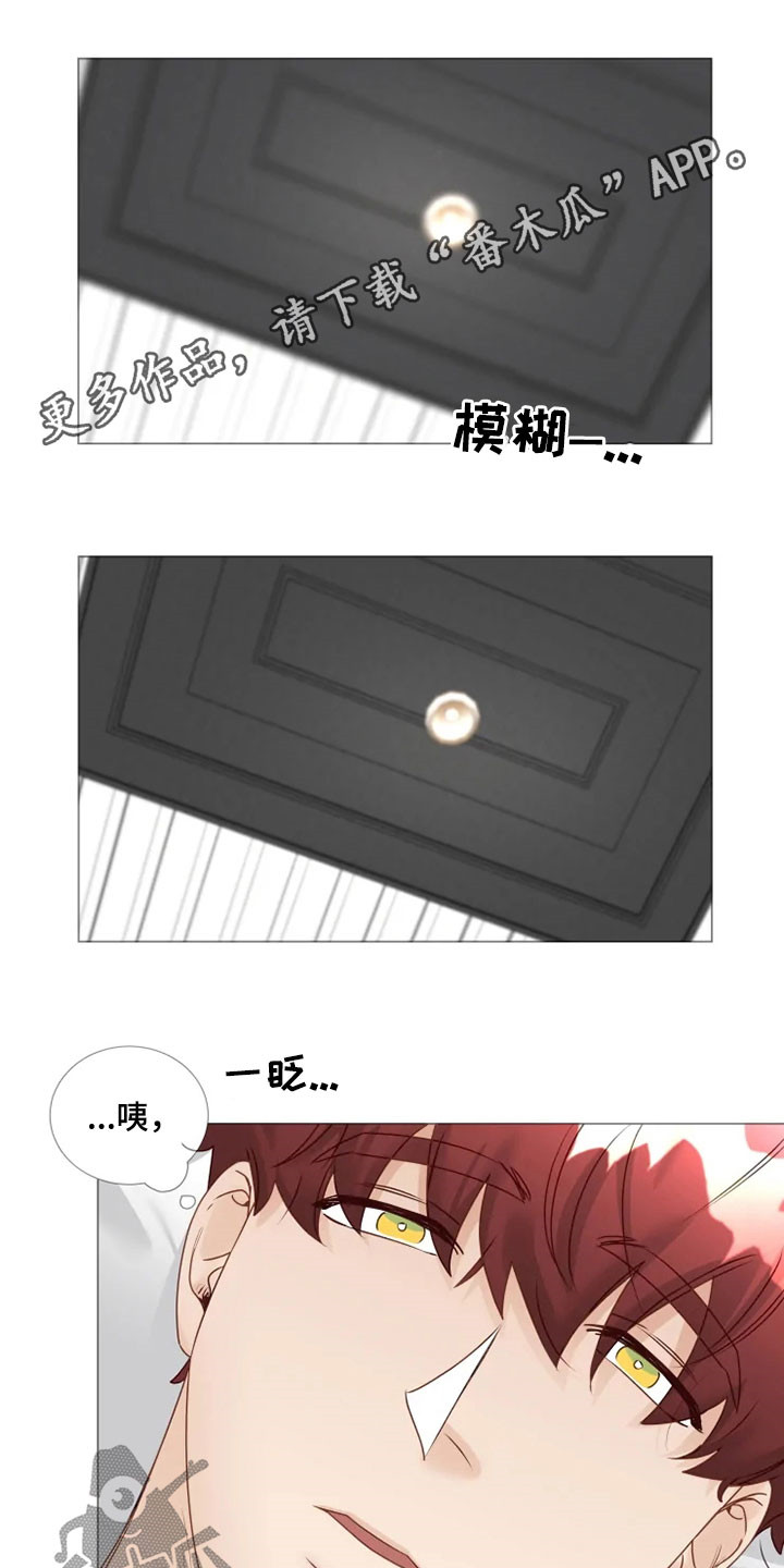 《神的祭品先生》第31章逛街 第1页