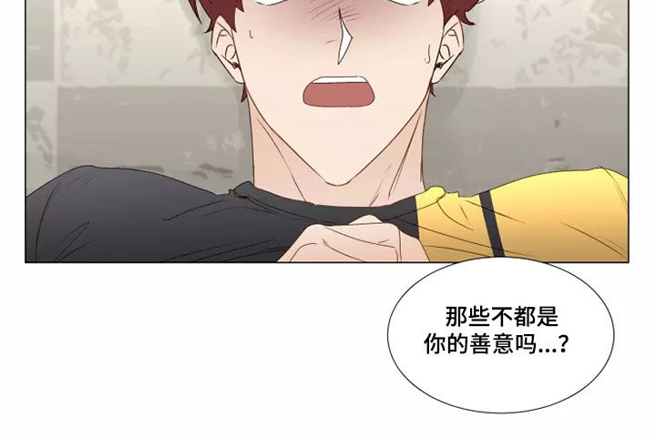 《神的祭品先生》第33章破门而入 第4页