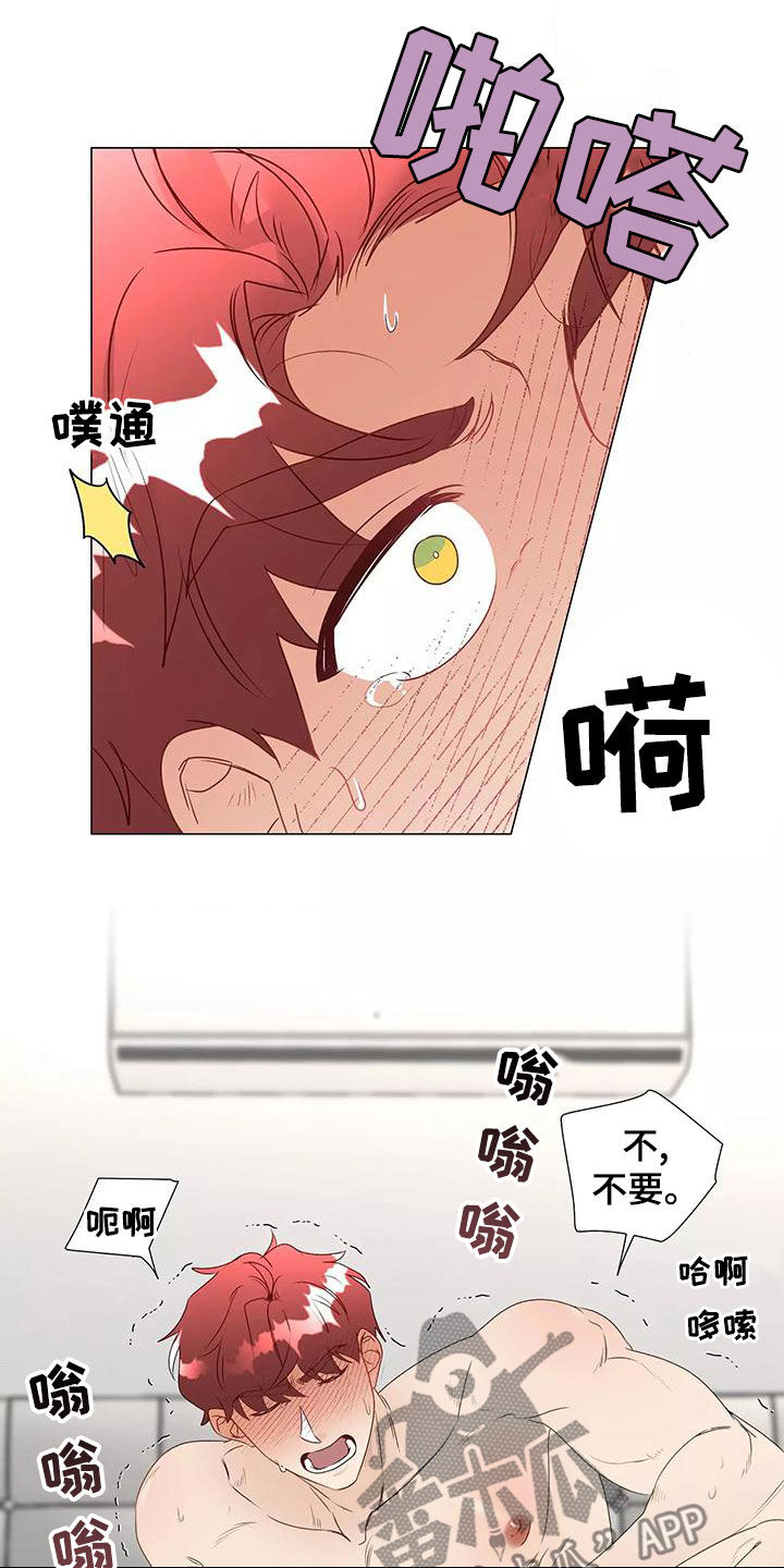 《神的祭品先生》第48章一起来 第3页