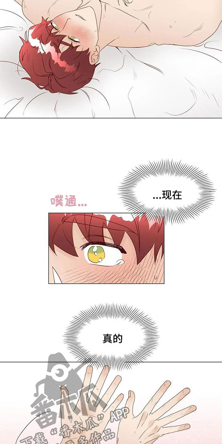 《神的祭品先生》第54章心意相通 第17页