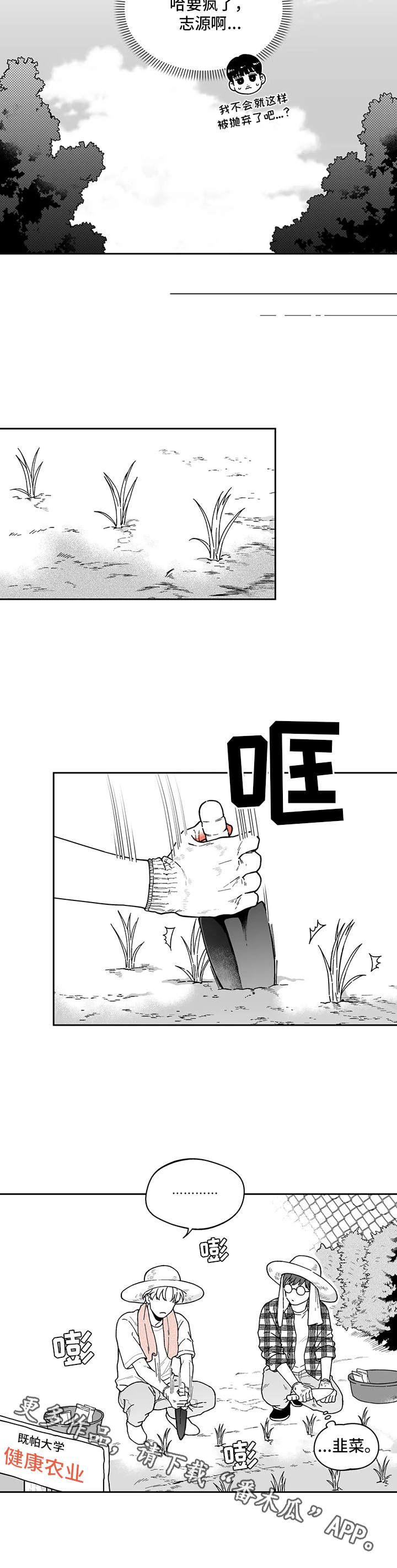 《遗失的戒指》第20章没有联系 第4页