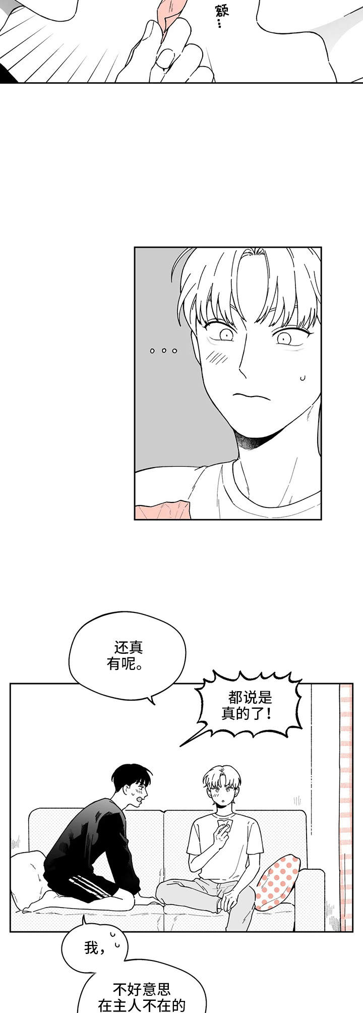 《遗失的戒指》第21章解释 第10页