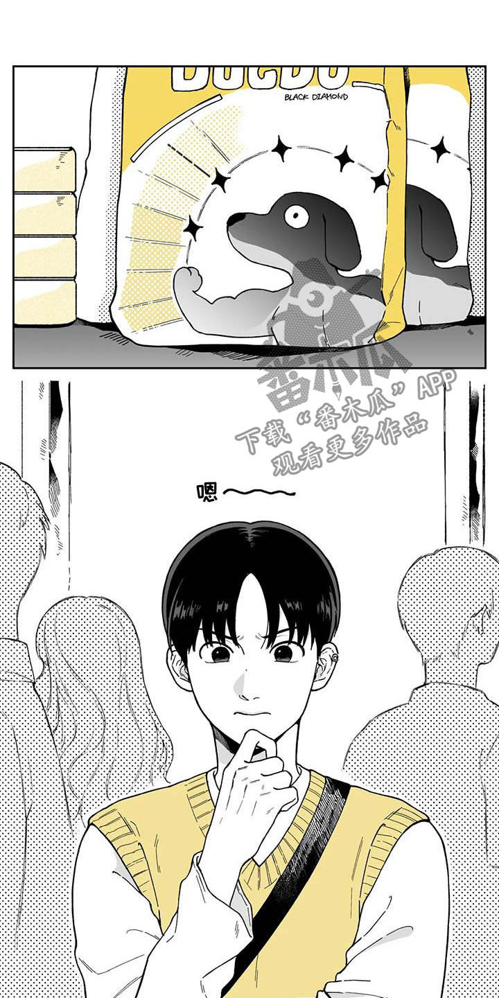 《遗失的戒指》第30章【第二季】眼镜 第2页