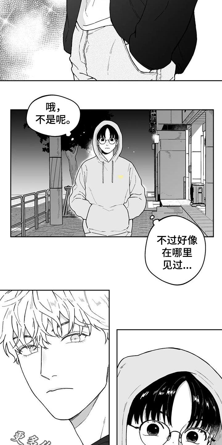 《遗失的戒指》第29章【第二季】在哪见过 第13页
