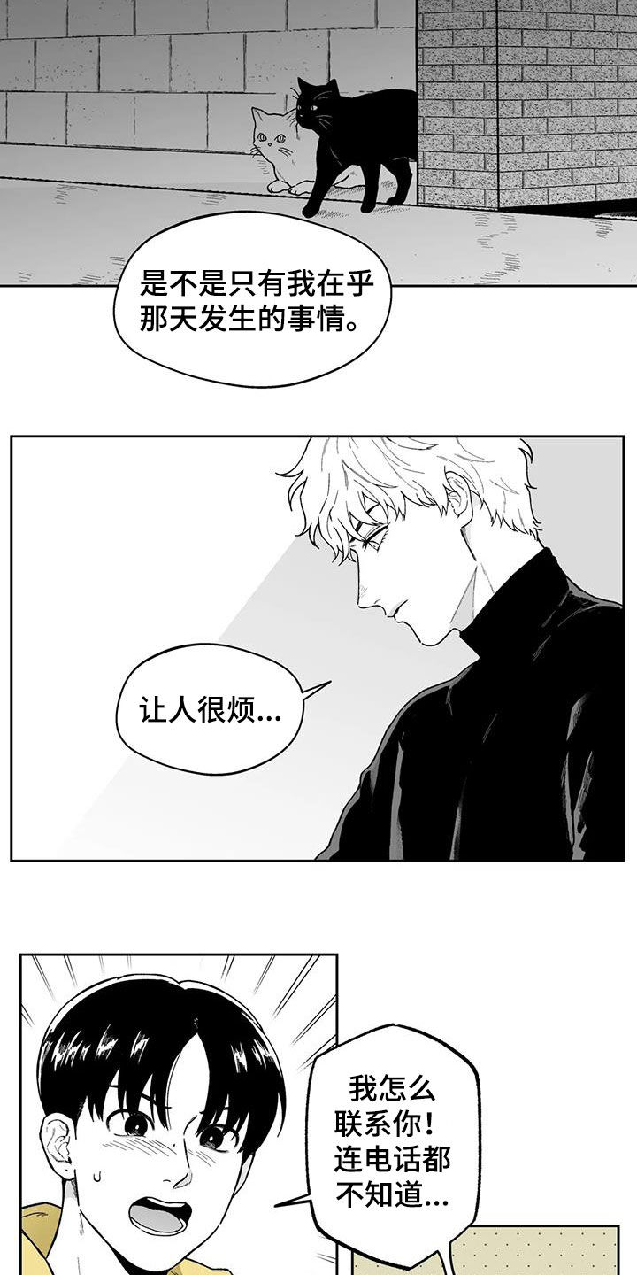 《遗失的戒指》第51章【第二季】让人很烦 第13页