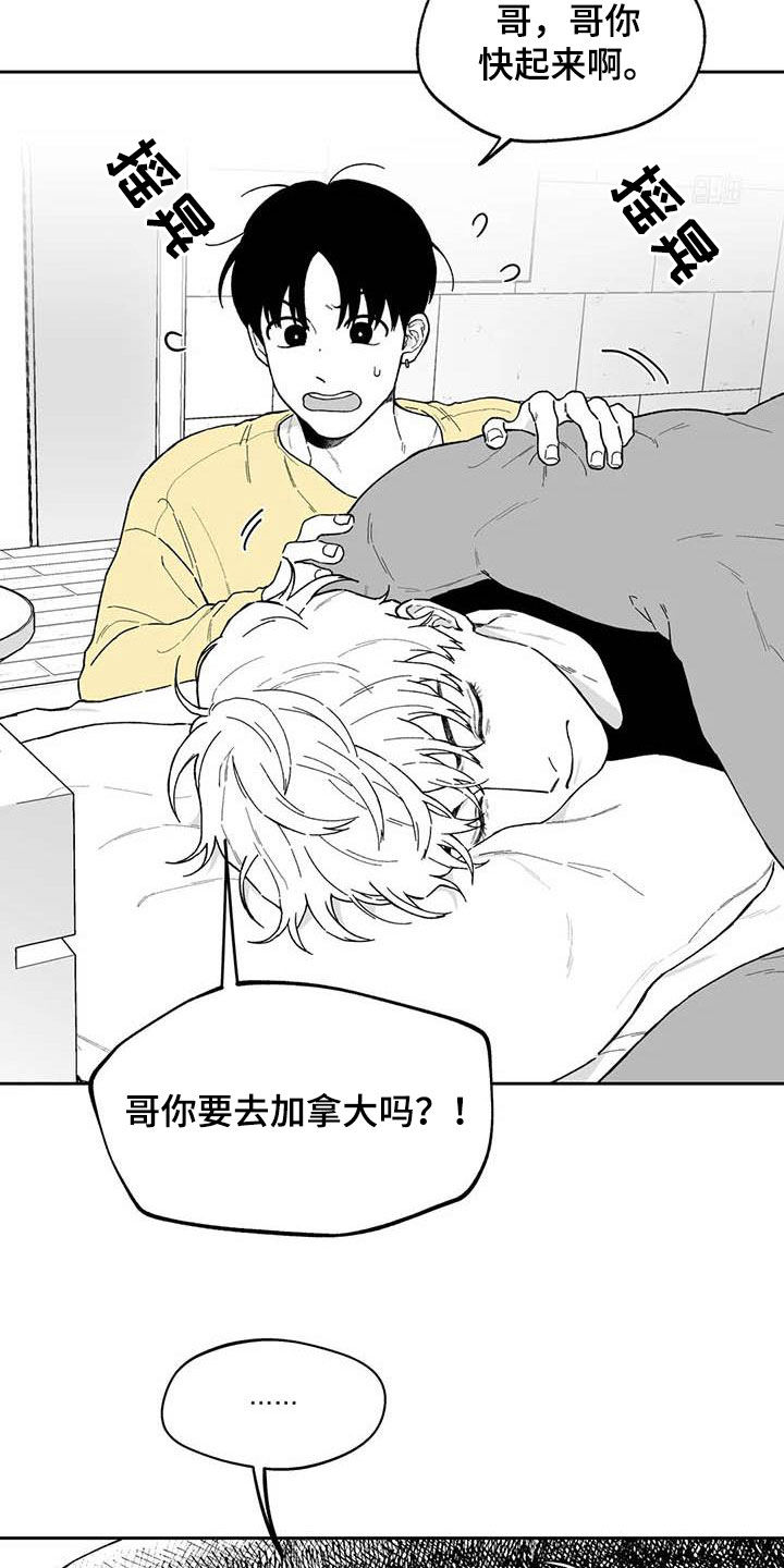《遗失的戒指》第55章【第二季】要交往吗 第8页