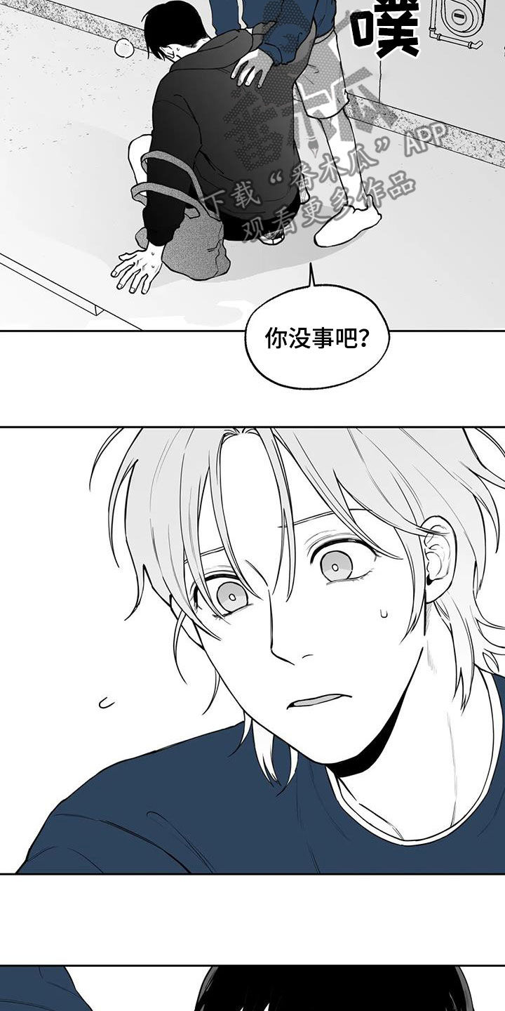 《遗失的戒指》第82章【第二季】道歉 第8页
