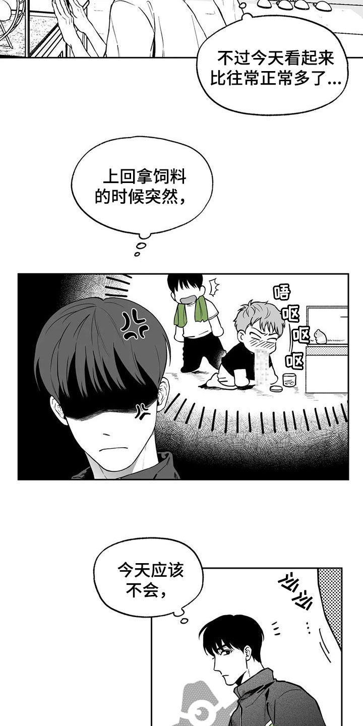 《遗失的戒指》第93章【第二季】烦死了 第4页