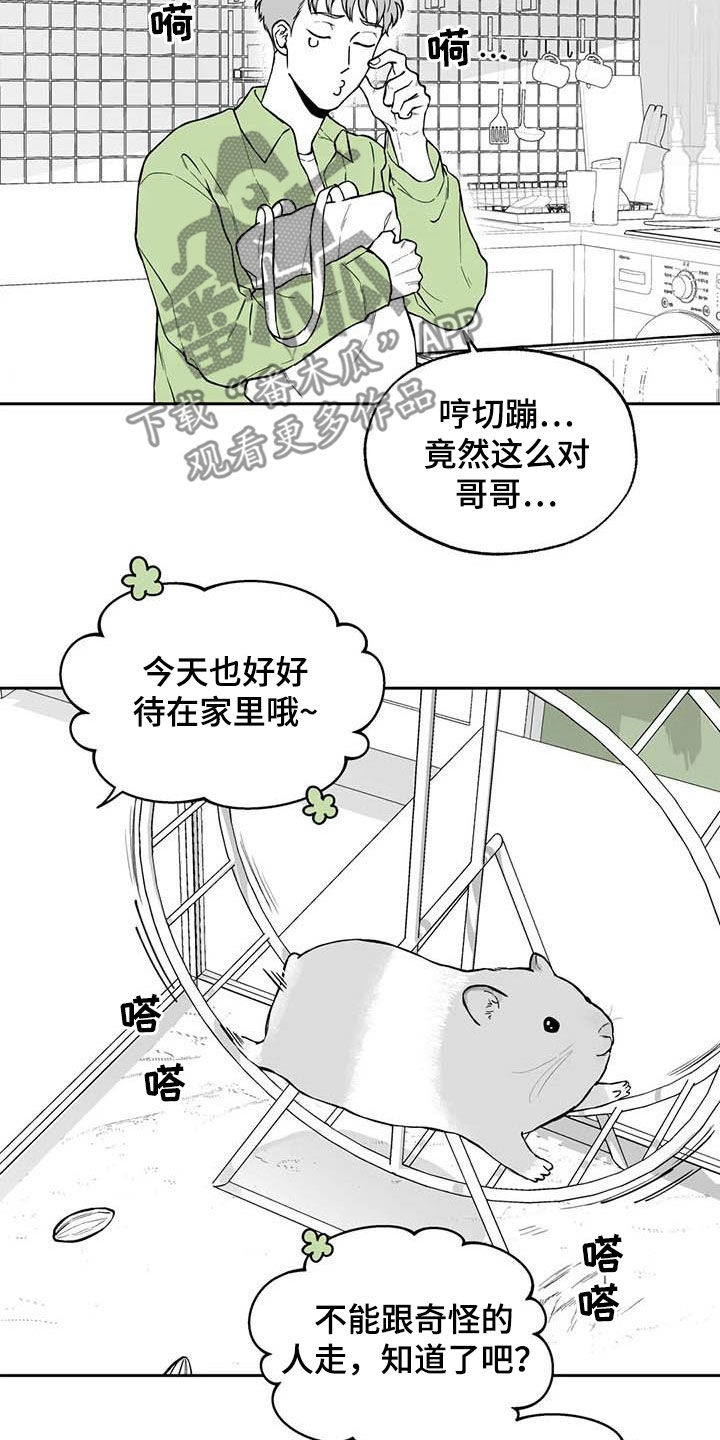 《遗失的戒指》第95章【第二季】拿捏住了 第11页