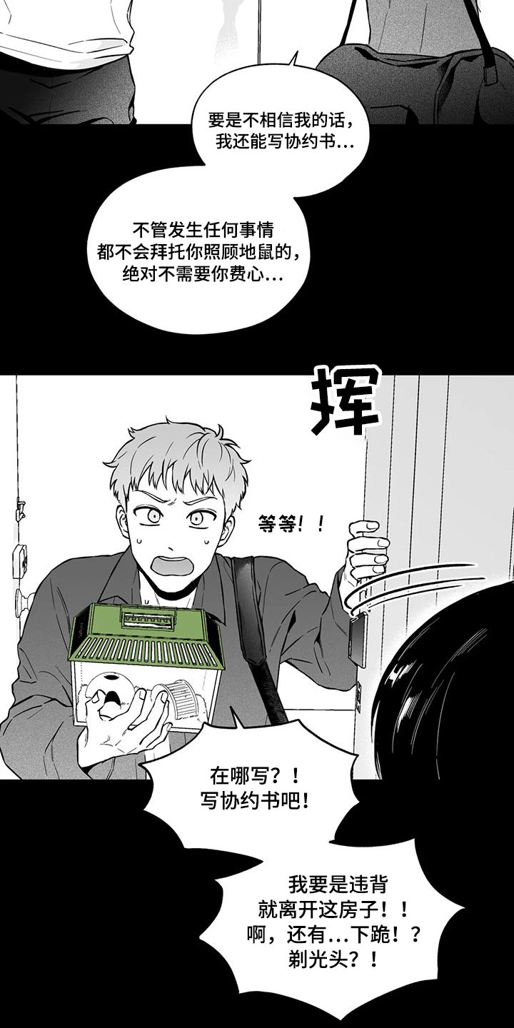 《遗失的戒指》第98章【第二季】规则 第10页