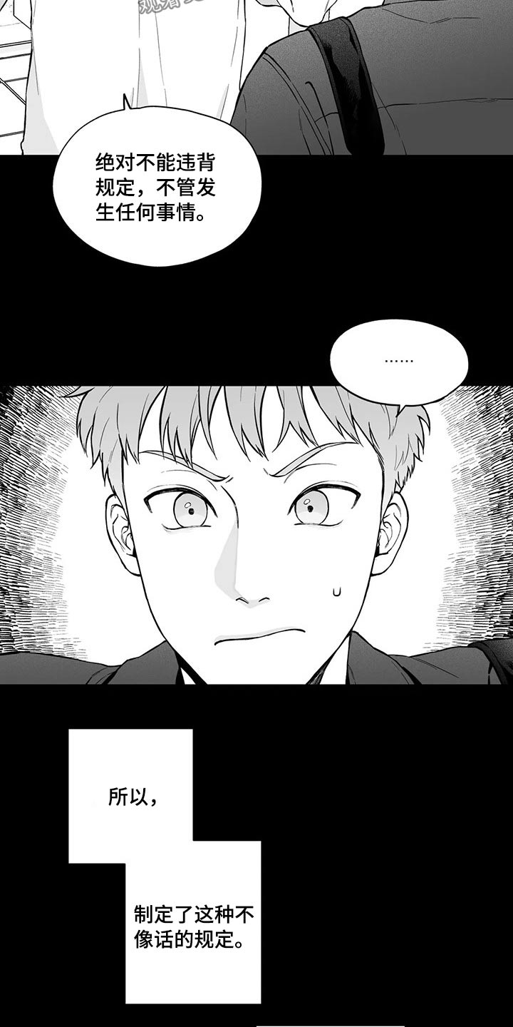 《遗失的戒指》第98章【第二季】规则 第12页