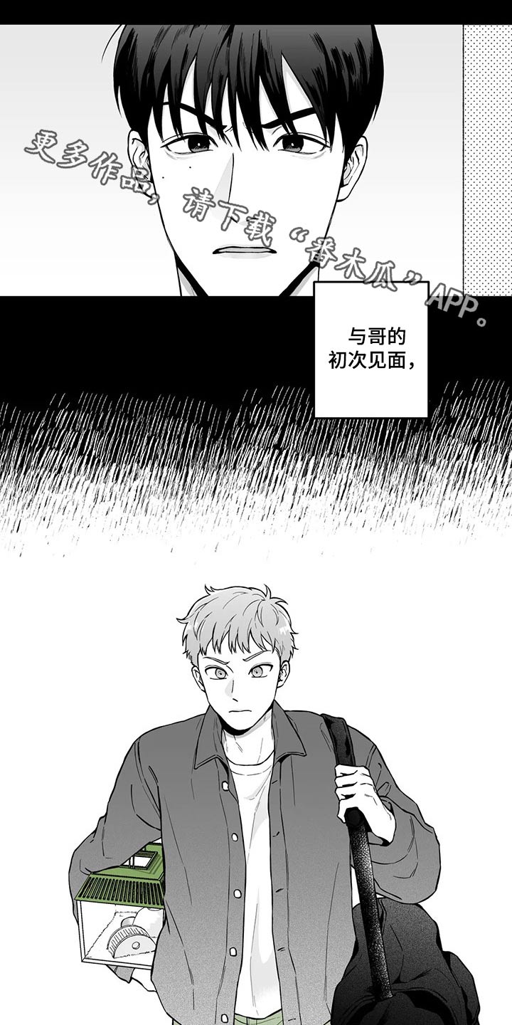 《遗失的戒指》第98章【第二季】规则 第1页