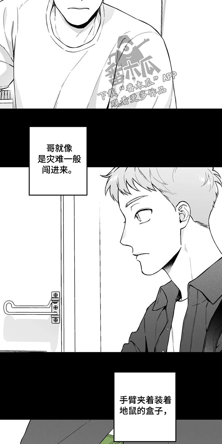 《遗失的戒指》第98章【第二季】规则 第3页