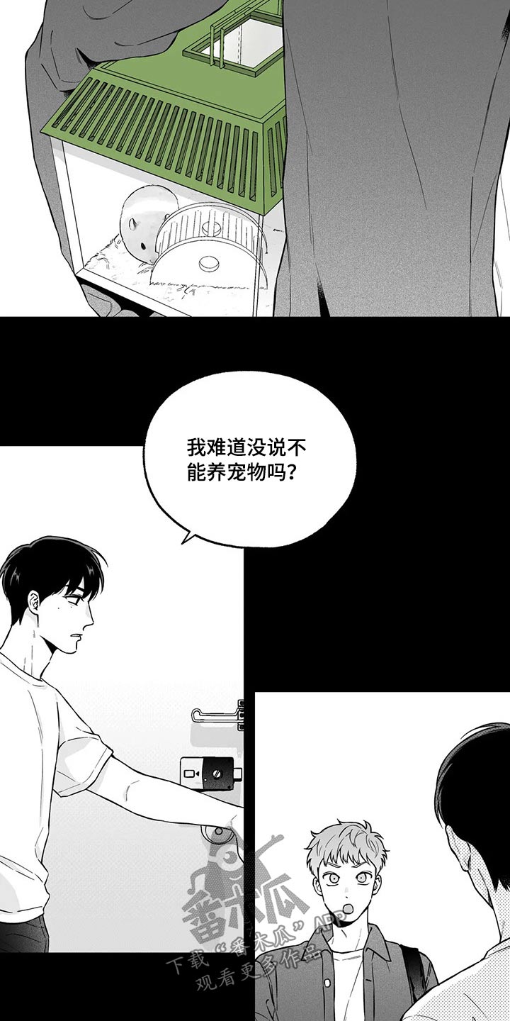 《遗失的戒指》第98章【第二季】规则 第4页