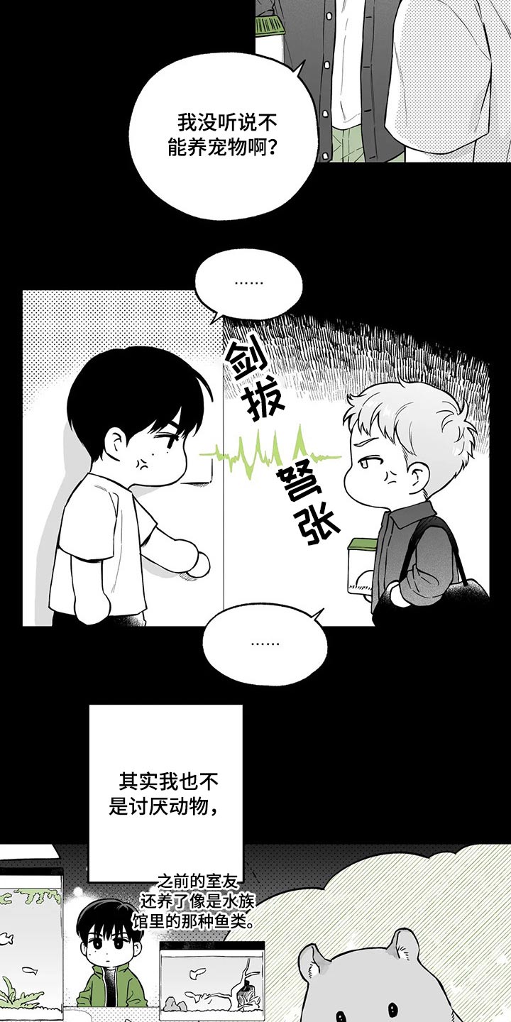 《遗失的戒指》第98章【第二季】规则 第5页