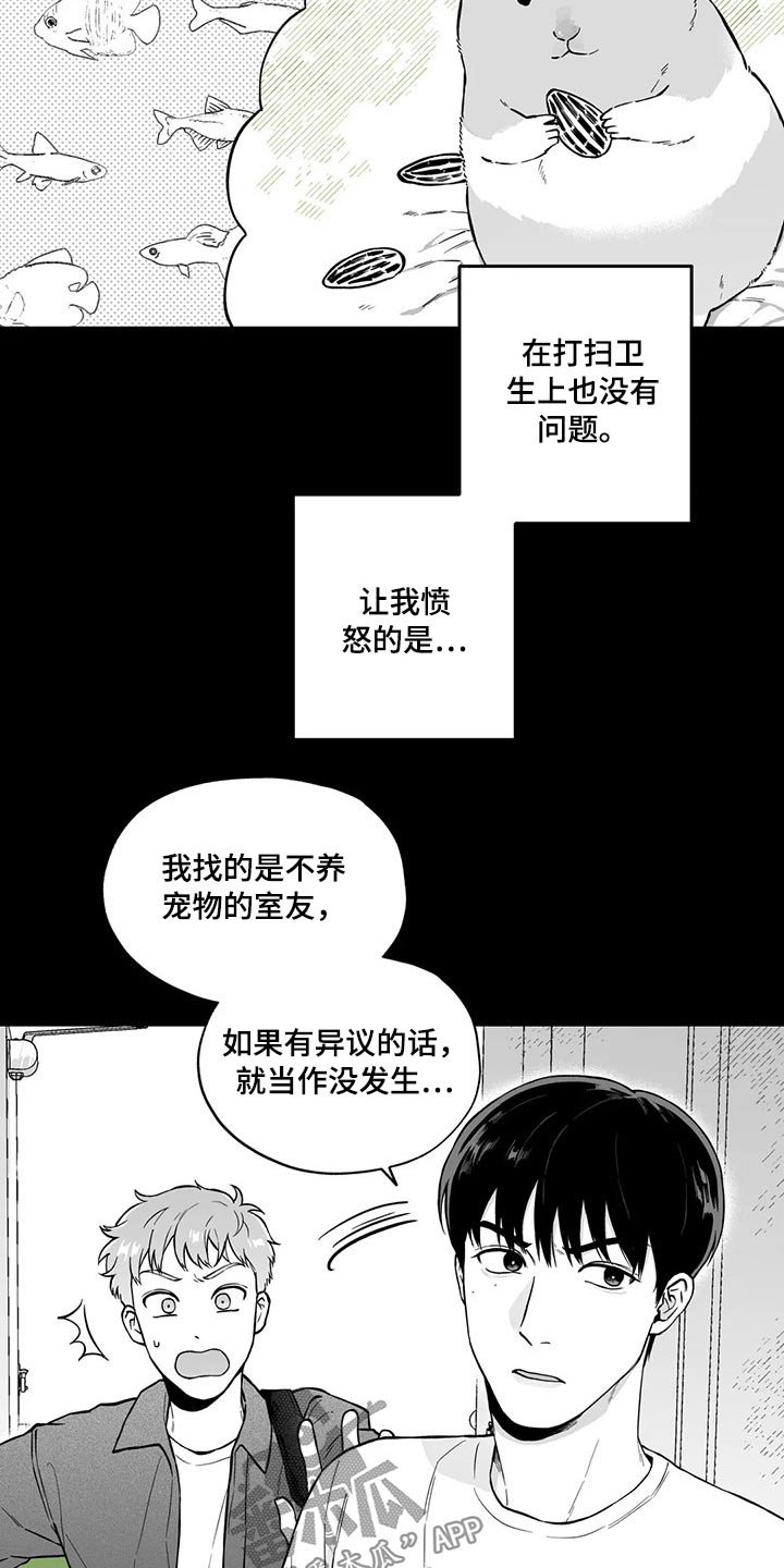 《遗失的戒指》第98章【第二季】规则 第6页