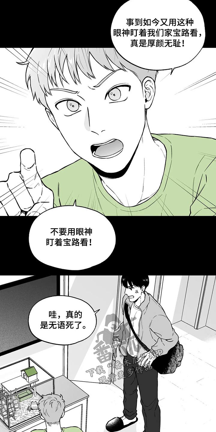 《遗失的戒指》第99章【第二季】不太可能 第13页