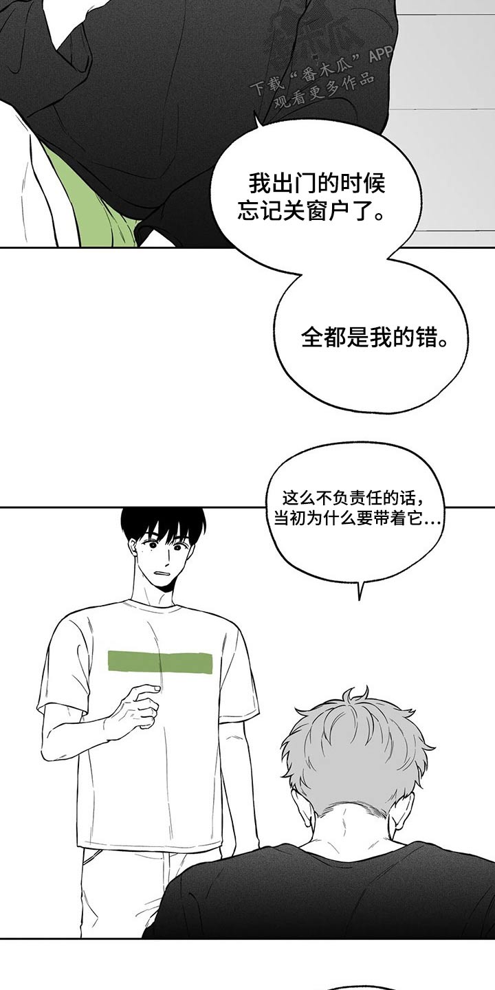 《遗失的戒指》第102章【第二季】万幸 第10页