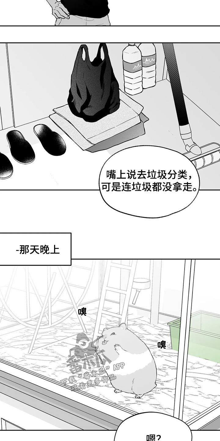 《遗失的戒指》第103章【第二季】搬走 第12页