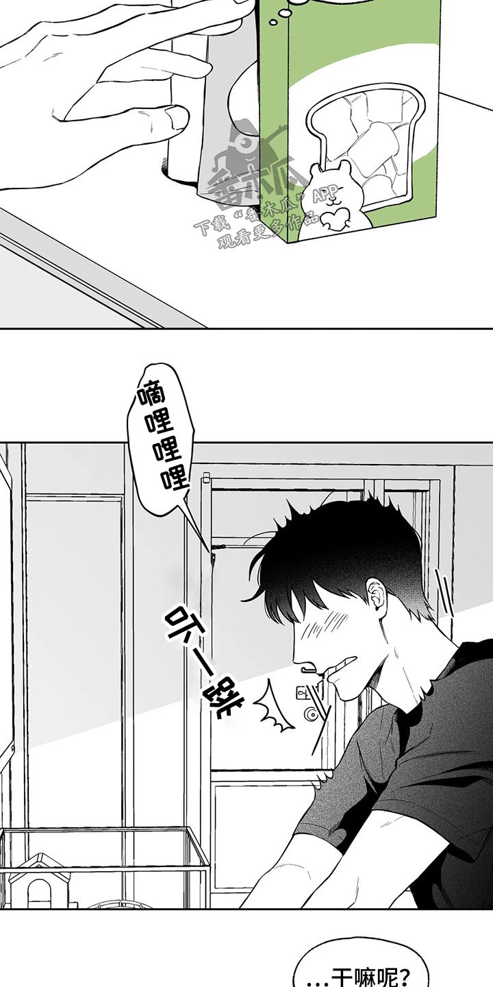 《遗失的戒指》第103章【第二季】搬走 第14页
