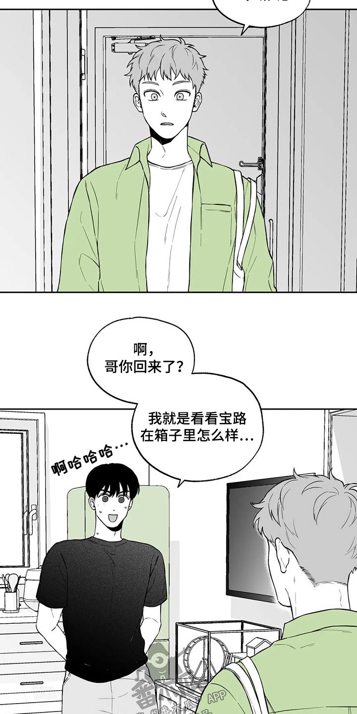 《遗失的戒指》第103章【第二季】搬走 第15页