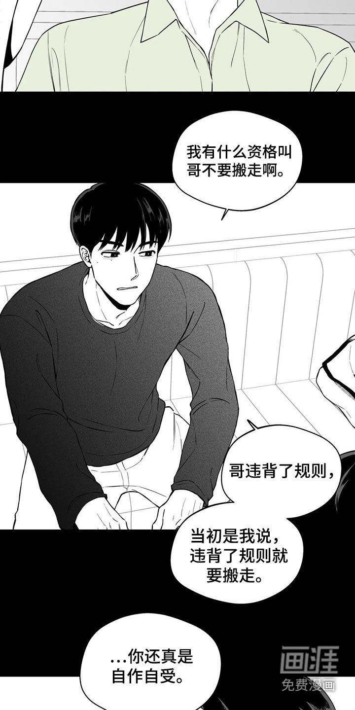 《遗失的戒指》第104章【第二季】规则 第17页
