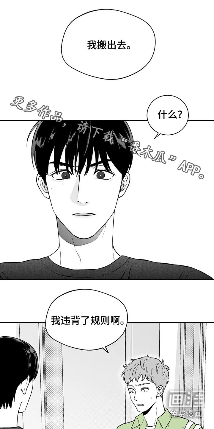 《遗失的戒指》第104章【第二季】规则 第1页
