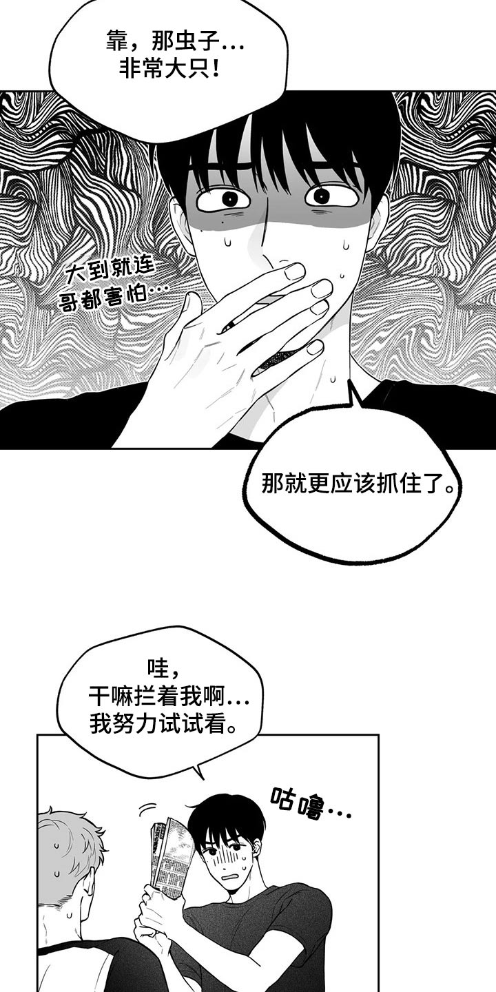 《遗失的戒指》第109章【第二季】生日 第14页