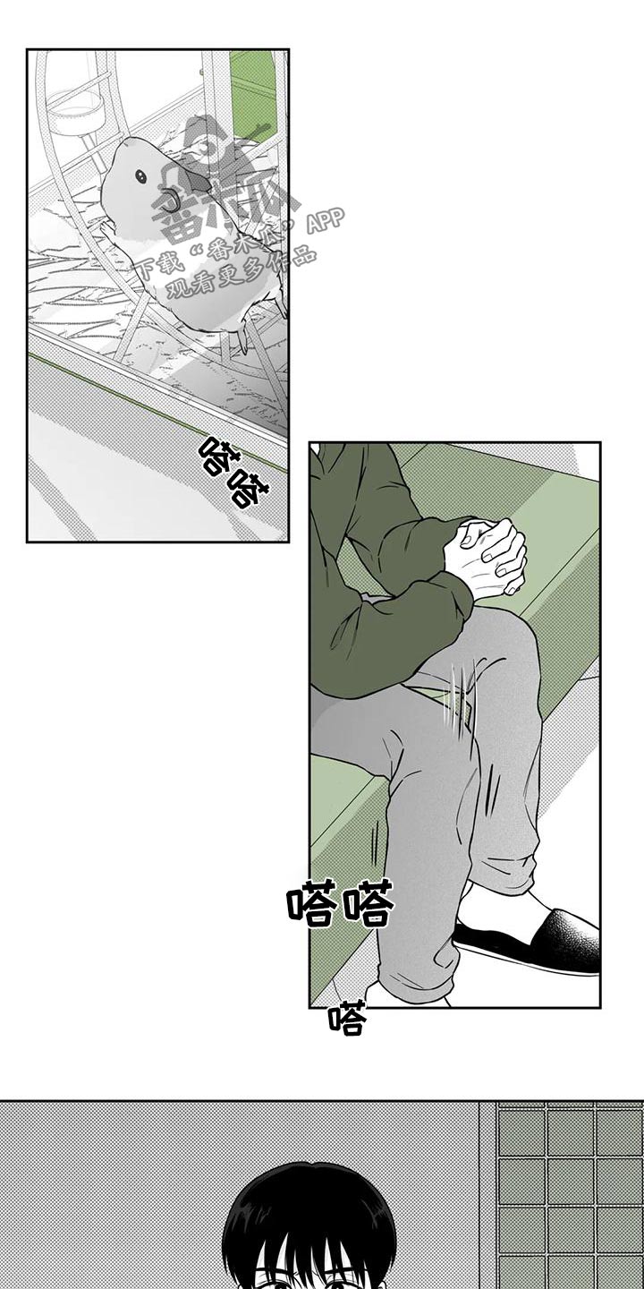 《遗失的戒指》第117章【第二季】眼镜 第18页