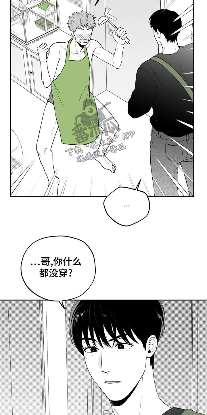 《遗失的戒指》第120章【第二季】秘密 第3页