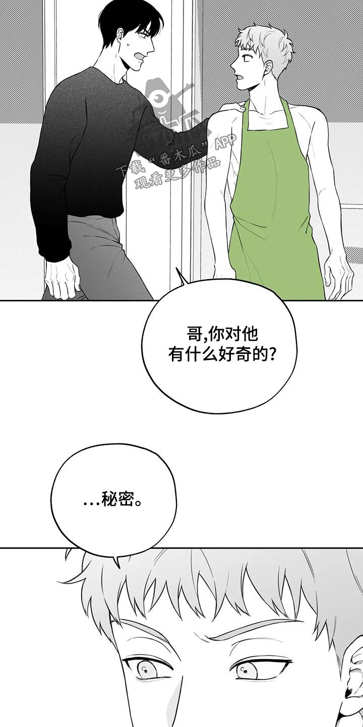 《遗失的戒指》第120章【第二季】秘密 第7页