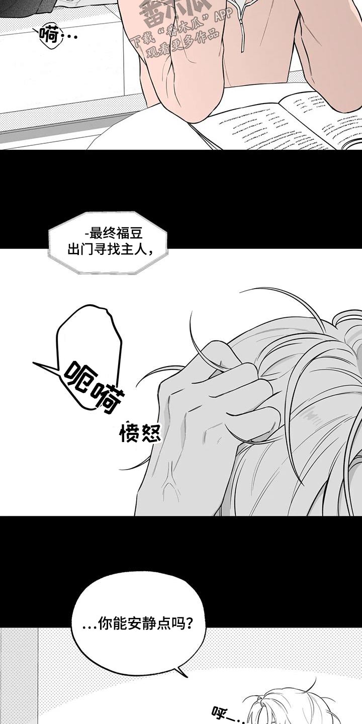 《遗失的戒指》第123章【番外】计划 第5页