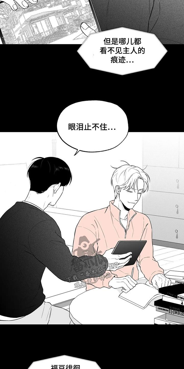 《遗失的戒指》第123章【番外】计划 第7页
