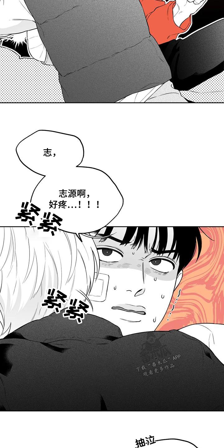 《遗失的戒指》第126章【第二季】第一次 第2页