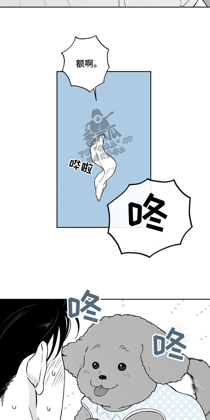 《遗失的戒指》第129章【第二季】你是谁 第15页